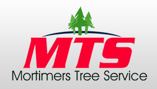 MT7T logo